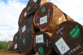 FSC kan hjælpe dig med tømmerlovgivning