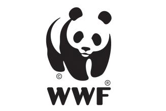 WWF: Danmark skal stramme op for skovenes skyld