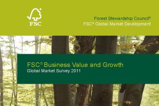 Global Market Survey 2011