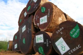 Ny undersøgelse viser tilfredshed blandt FSC-virksomheder