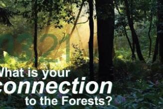 International Day of Forests