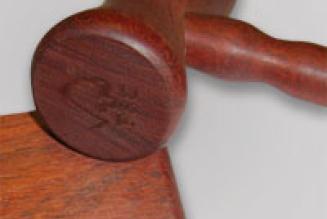 Auktion til fordel for verdens skove