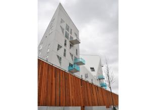 Mindre kendt FSC-træ pryder prisvindende byggerier