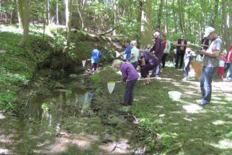 Skovens Dag 2011 i Barritskov
