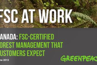 Greenpeace offentliggør casestudier om FSC