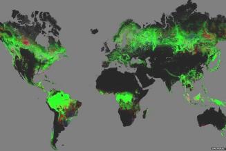 Google Earth-overblik over de globle skovforandringer