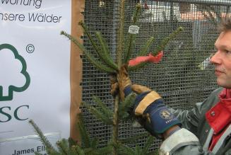 FSC Danmark ønsker glædelig jul og godt nytår