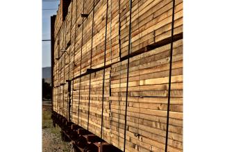 Klarhed omkring FSC’s rolle i implementering af EU’s Tømmerforordning