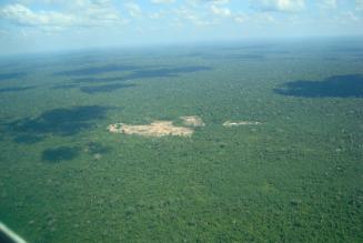Droner sætter ind over for rydning af regnskov