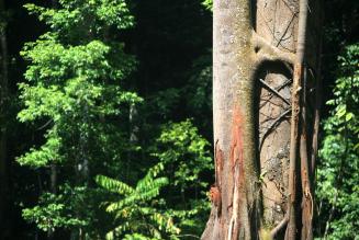 Lad os høre din mening: Anden offentlige høring om de Internationale Generiske Indikatorer (IGI’erne)