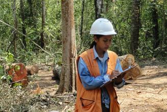 Trævolumen beregnes i Chiquitano-landsbyernes skov.