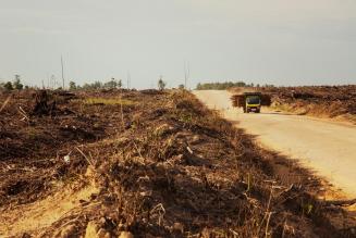 Afskåring i Indonesien