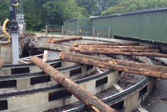 FSC-CoC-standarden er i høring