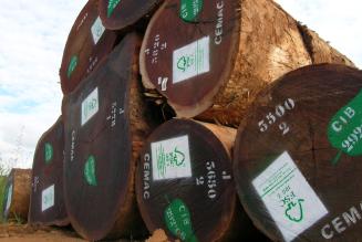 Soil Association Woodmark er blevet godkendt af EU som EUTR Monitoring Organisation.