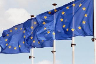 EU-kommissionen har godkendt fem nye EUTR-overvågningsorganer