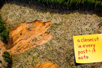 3M dropper certificeringssystemet SFI og annoncerer ny b&aelig;redygtighedsplan