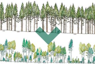 Skov p&aring; finansloven