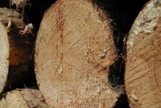 Norge implementerer EU&rsquo;s t&oslash;mmerlov