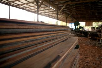 Det er nemmere end nogensinde at k&oslash;be FSC-certificerede produkter