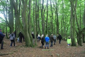 FSC Danmark og Fr&oslash;slev Tr&aelig; p&aring; skovtur