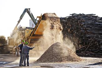 Det b&aelig;redygtige tr&aelig; g&oslash;res klar til afbr&aelig;nding p&aring; Verdos kraftvarmev&aelig;rk