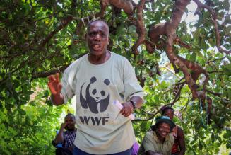 Ny unders&oslash;gelse: FSC-certificering skaber bedre skove i Tanzania