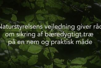 Naturstyrelsen har offentliggjort informationsmaterialer om indk&oslash;bsvejledningen