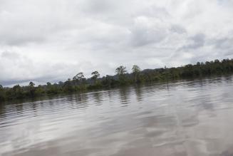 FSC Danmarks kommentar til sagen om illegalt tr&aelig; i Brasilien