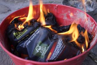 NGO&rsquo;en Fern s&aelig;tter fokus p&aring; tr&aelig;kul