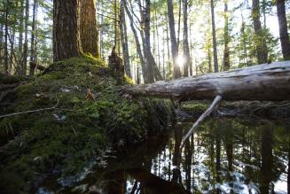 Ny udbudslov for offentligt indk&oslash;b