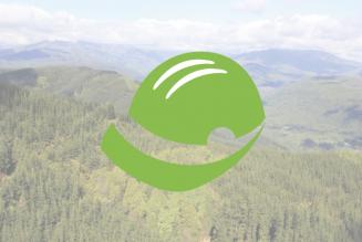 Den nye FSC Controlled Wood-standard er nu klar