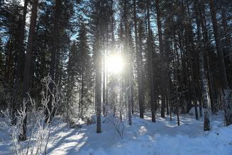 FSC Finland