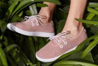 Allbirds