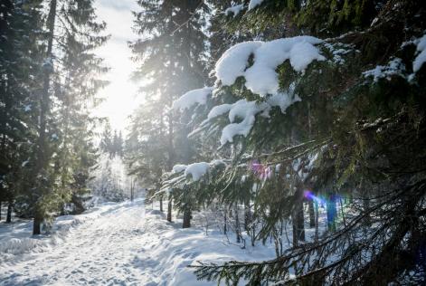 Vinterskov Finland