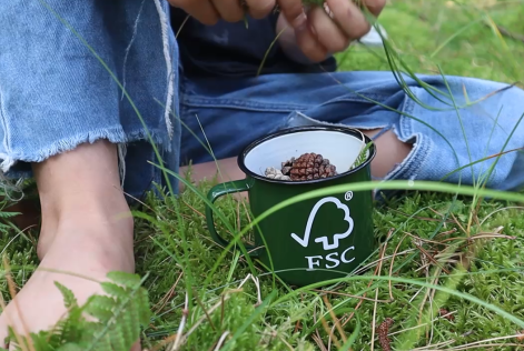 FSC-kop i skovbund