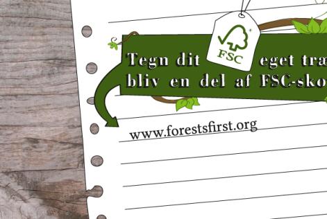 Forests First