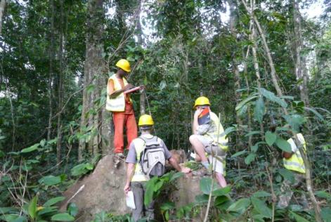 Tre nye koncessioner i Cameroun er nu FSC-certificerede