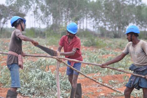 Skovarbejdere i Tamil Nadu