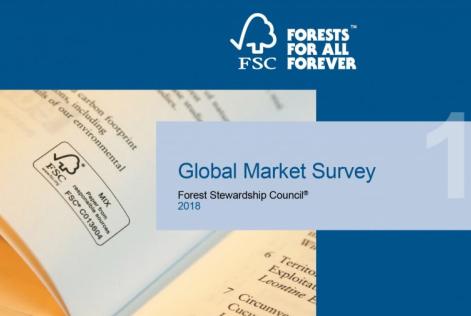 Global Market Survey 2018