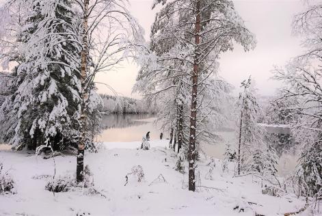 Norsk skov