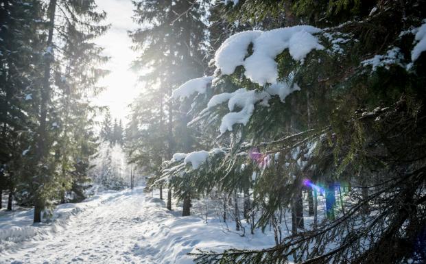 Vinterskov Finland