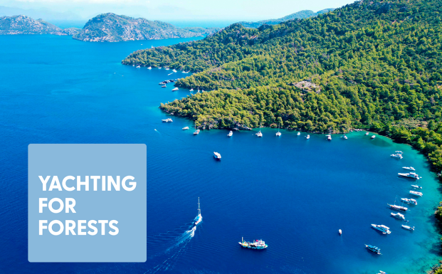 Yachting for Forests