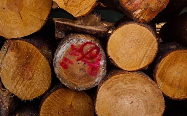 FSC_Mexico