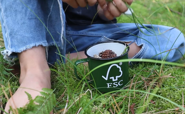 FSC-kop i skovbund