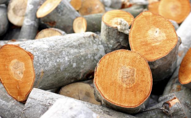 FSC og EU's tømmerlovgivning FSC og EU's tømmerlovgivning
