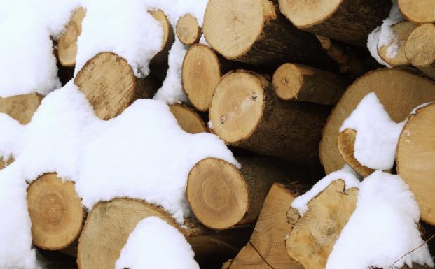 FSC-tømmer med sne
