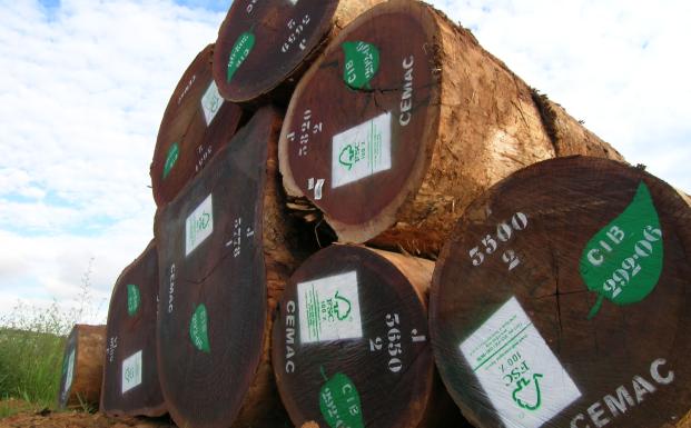 Ny undersøgelse viser tilfredshed blandt FSC-virksomheder Ny undersøgelse viser tilfredshed blandt FSC-virksomheder