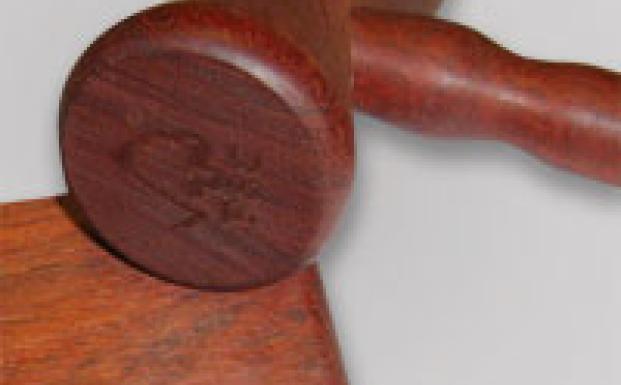 Auktion til fordel for verdens skove Auktion til fordel for verdens skove