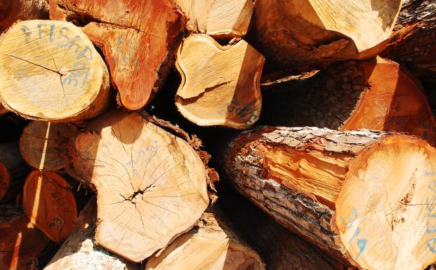 Guide om EU's Tømmerforordning Guide om EU's Tømmerforordning