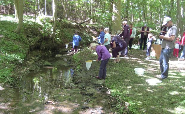 Skovens Dag 2011 i Barritskov Skovens Dag 2011 i Barritskov